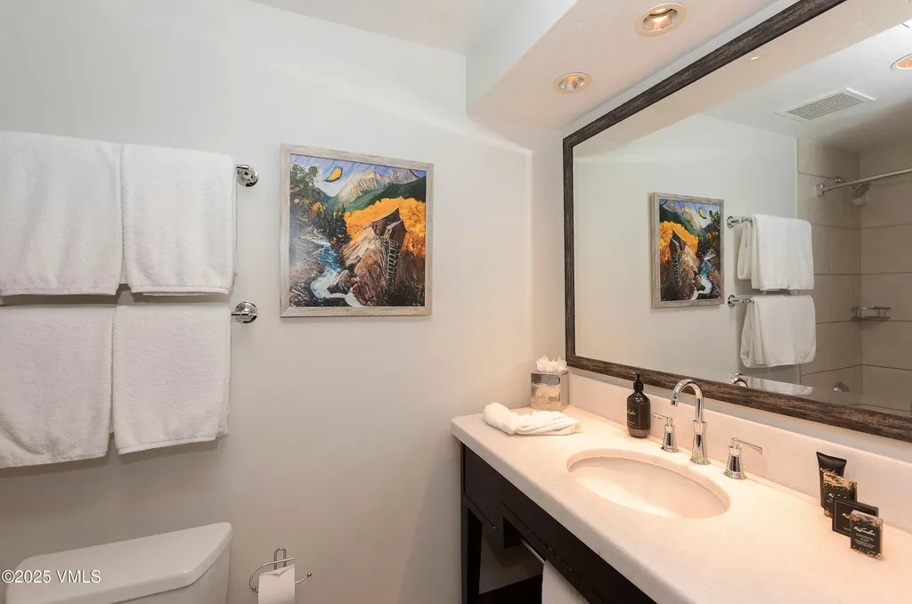 26 Avondale Lane Beaver Creek CO 81620