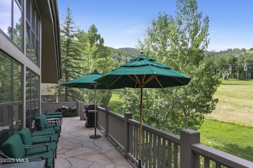 32 Greystone Court Beaver Creek CO 81620