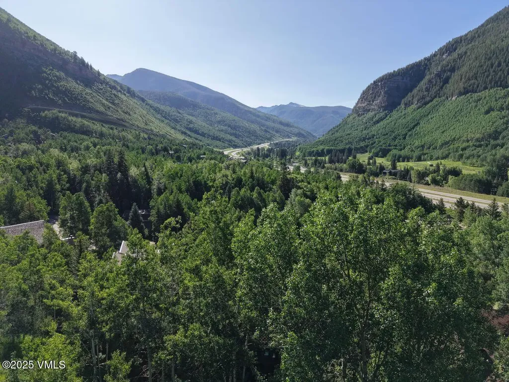 2875 Manns Ranch Road Vail CO 81657