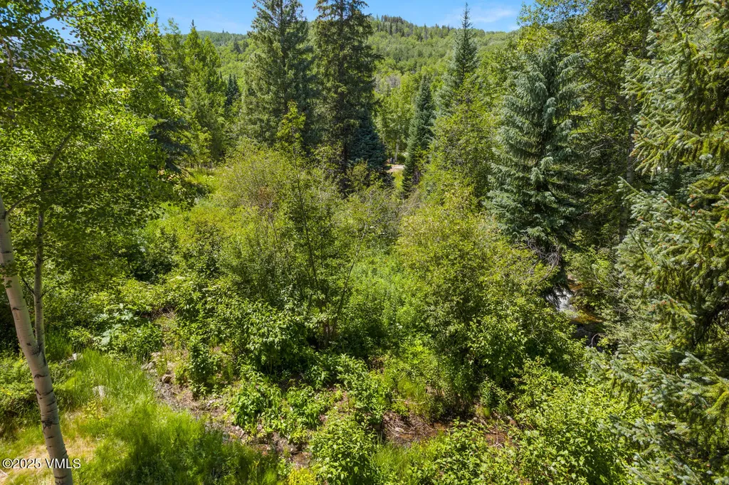 153 Village Walk Beaver Creek CO 81620