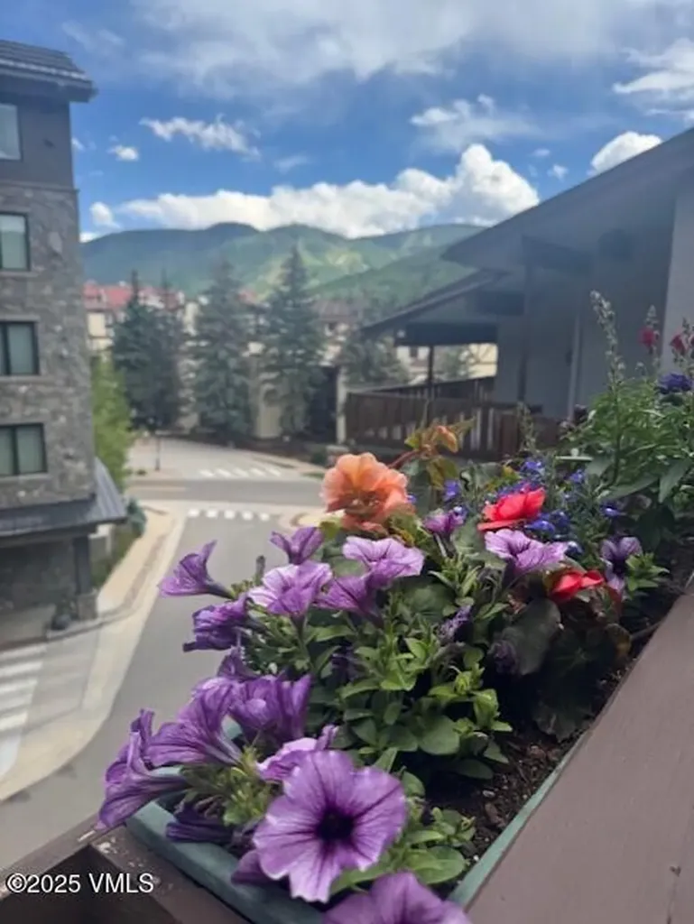 707 W Lionshead Circle Vail CO 81657