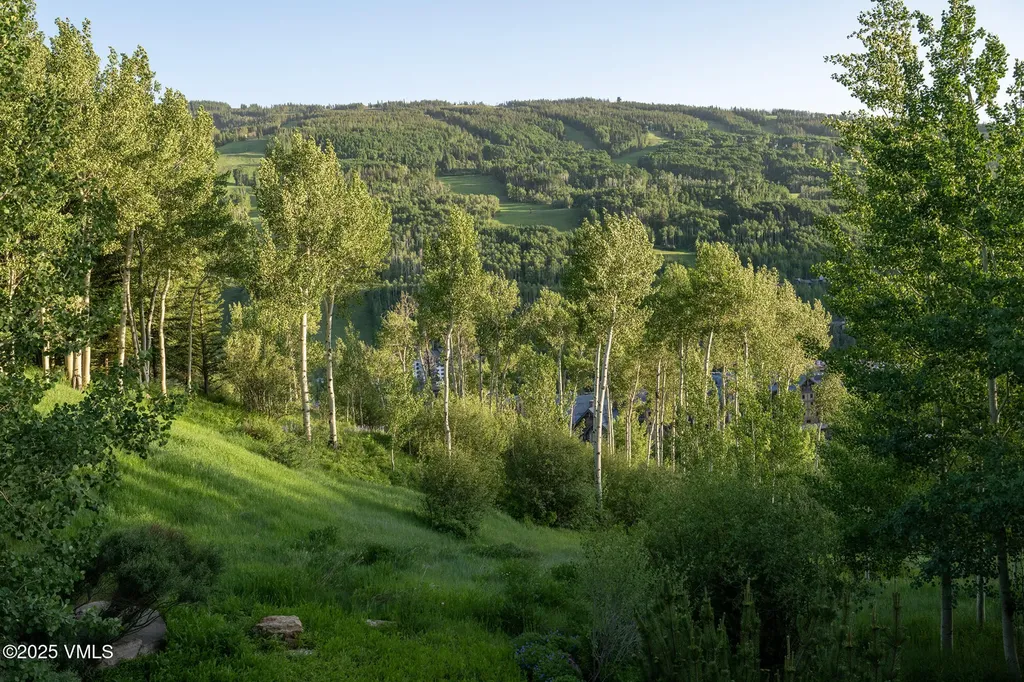 1094 Riva Glen Vail CO 81657