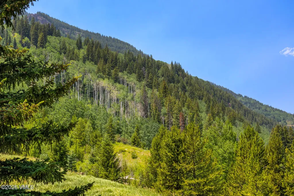 4450 Timber Falls Court Vail CO 81657