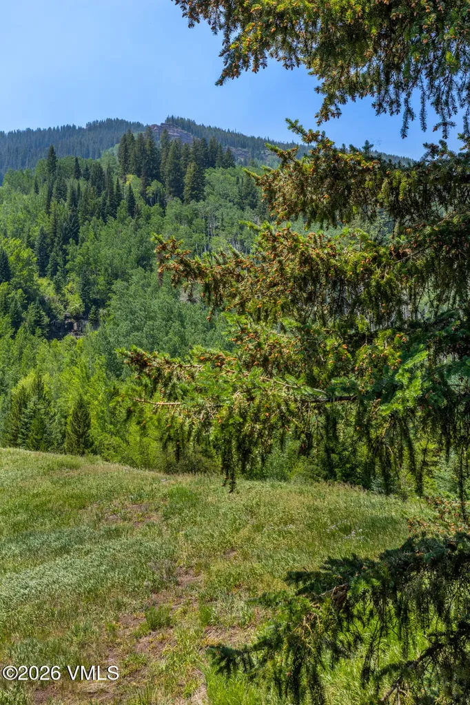 4450 Timber Falls Court Vail CO 81657