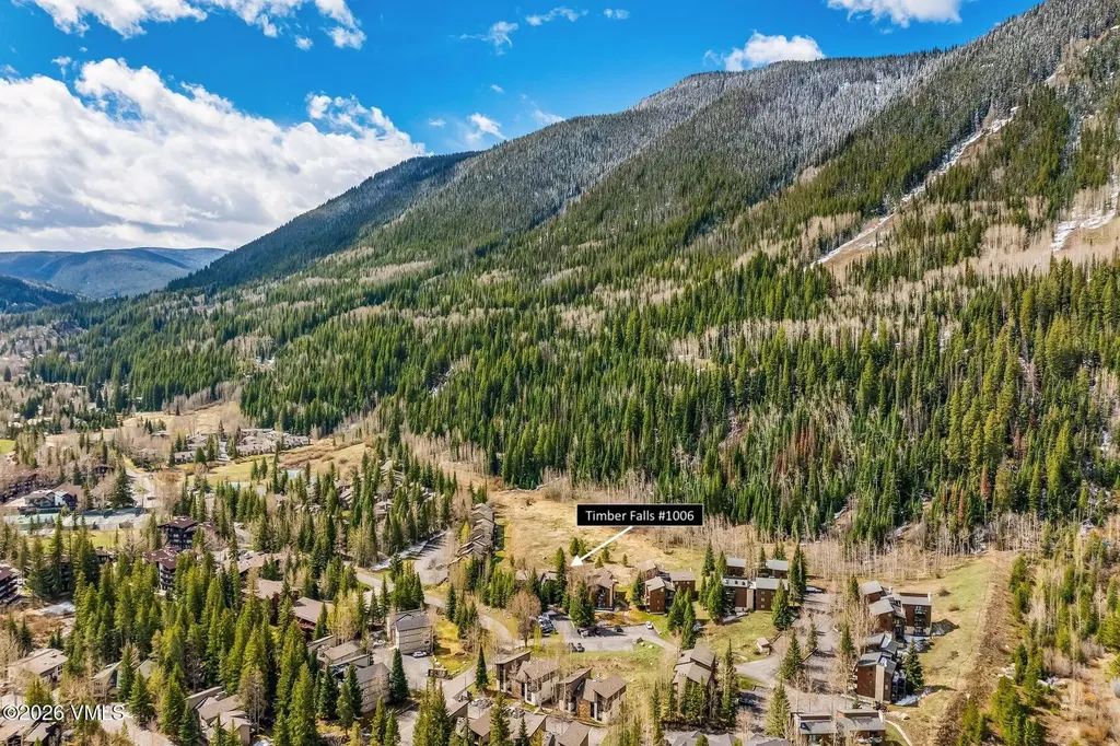 4514 Timber Falls Court Vail CO 81657