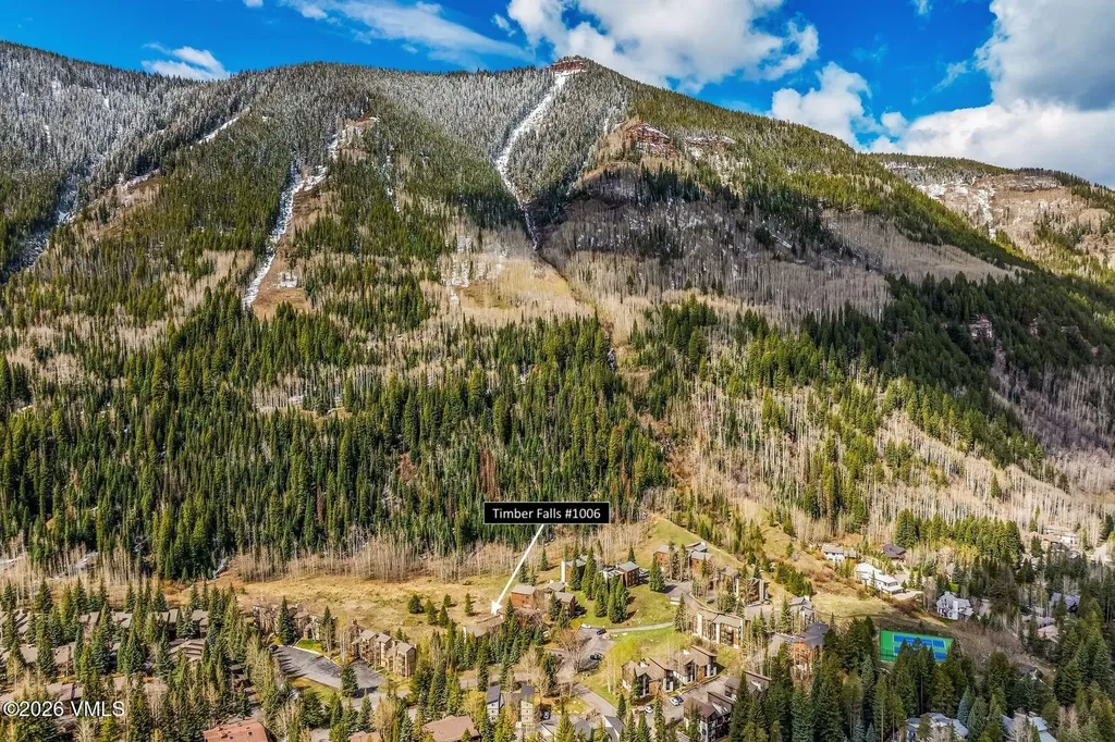 4514 Timber Falls Court Vail CO 81657