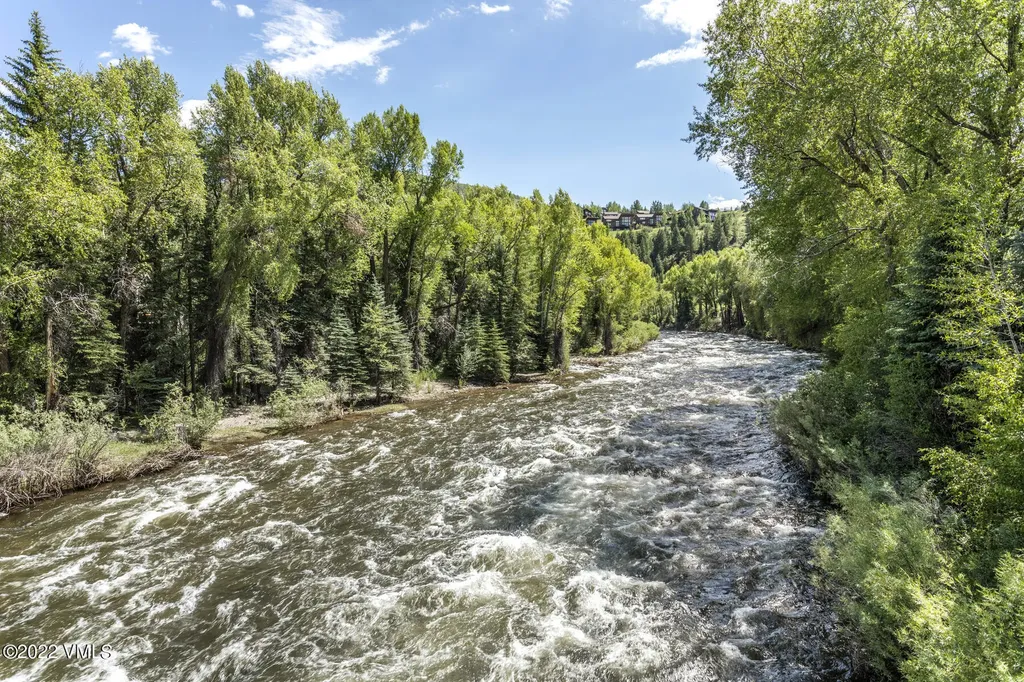 55 River Pines Edwards CO 81632