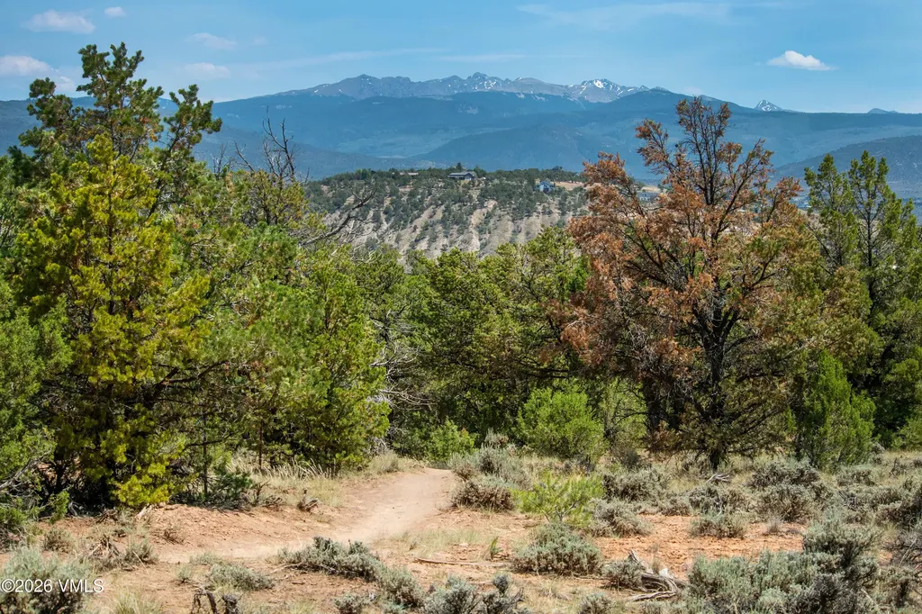 790 Mesa Drive Eagle CO 81631