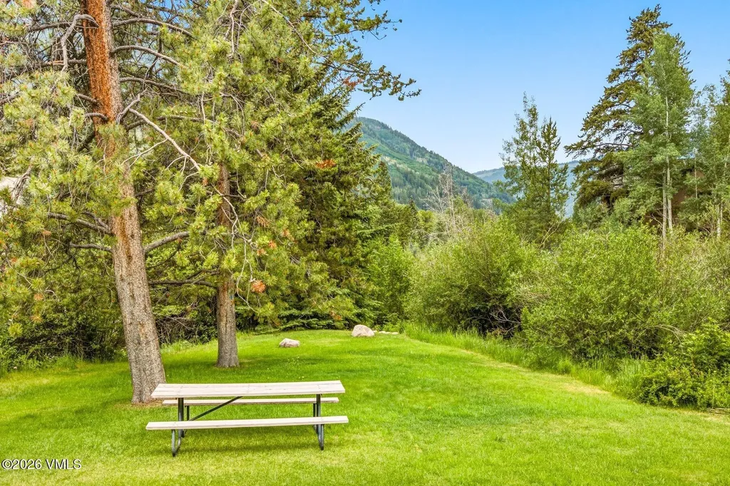 5175 Black Gore Drive Vail CO 81657