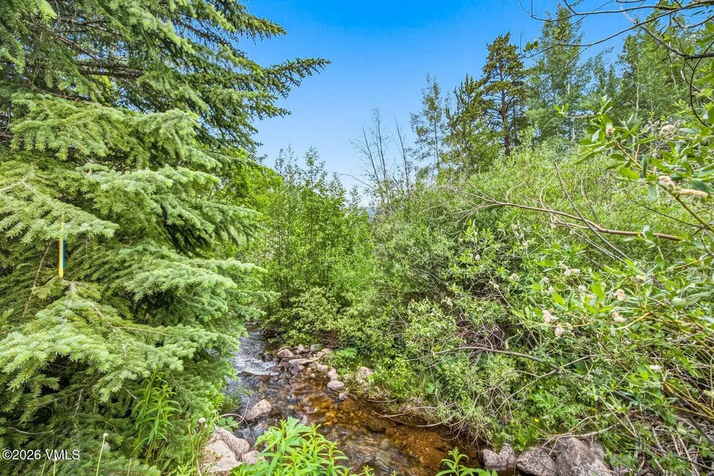 5175 Black Gore Drive Vail CO 81657