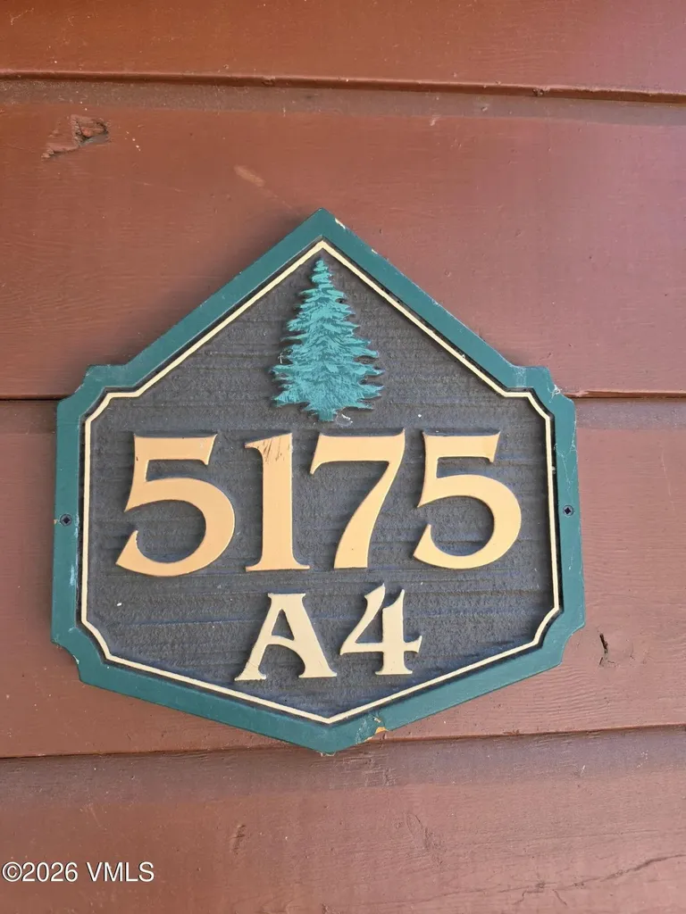 5175 Black Gore Drive Vail CO 81657