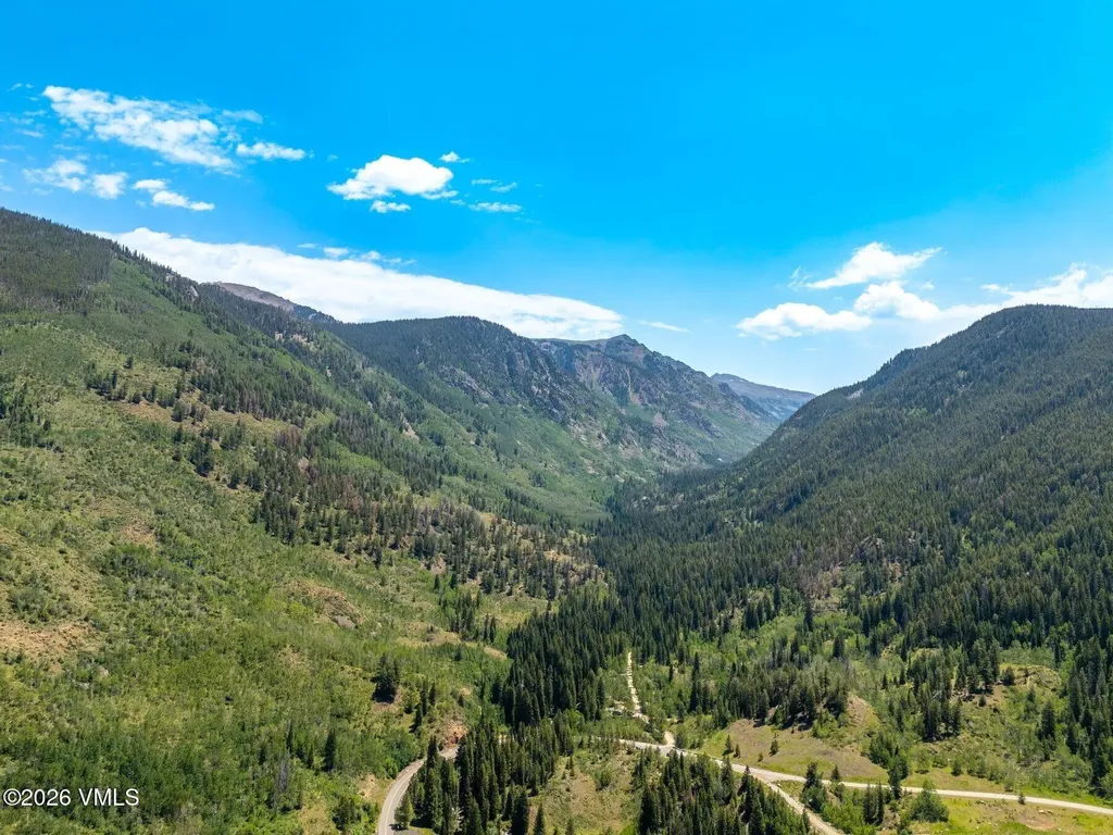 5175 Black Gore Drive Vail CO 81657