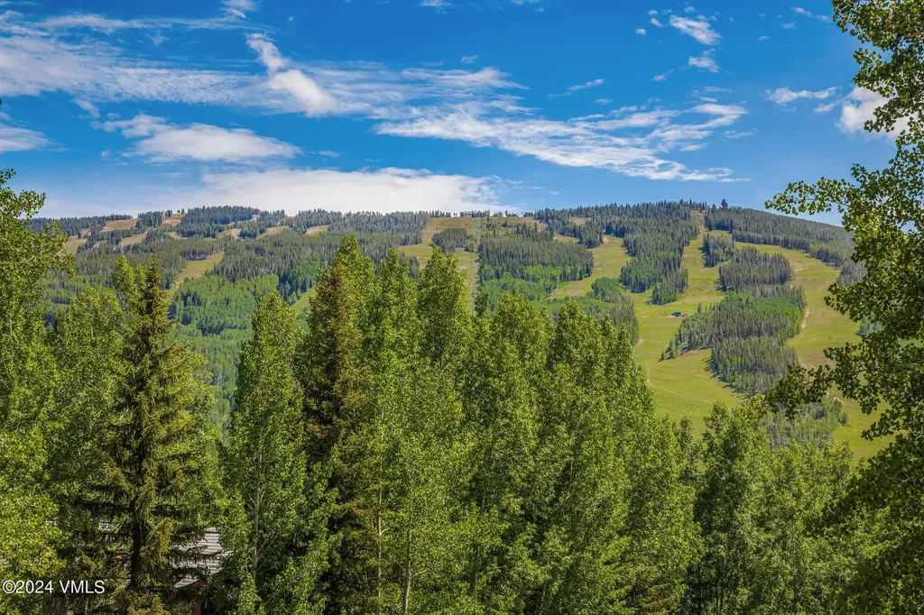 784 Potato Patch Drive W Vail CO 81657