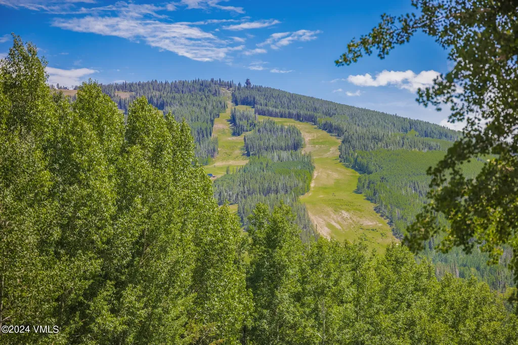 784 Potato Patch Drive W Vail CO 81657