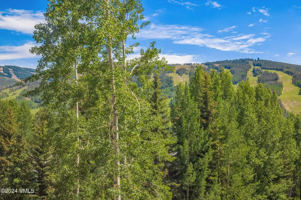 784 Potato Patch Drive W Vail CO 81657