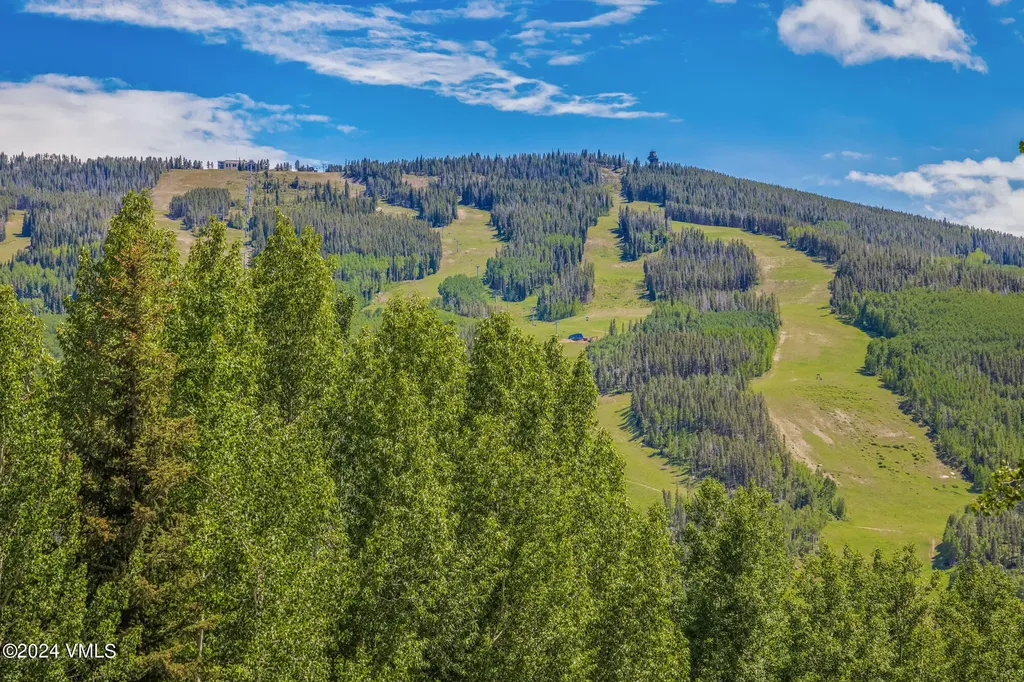 784 Potato Patch Drive W Vail CO 81657