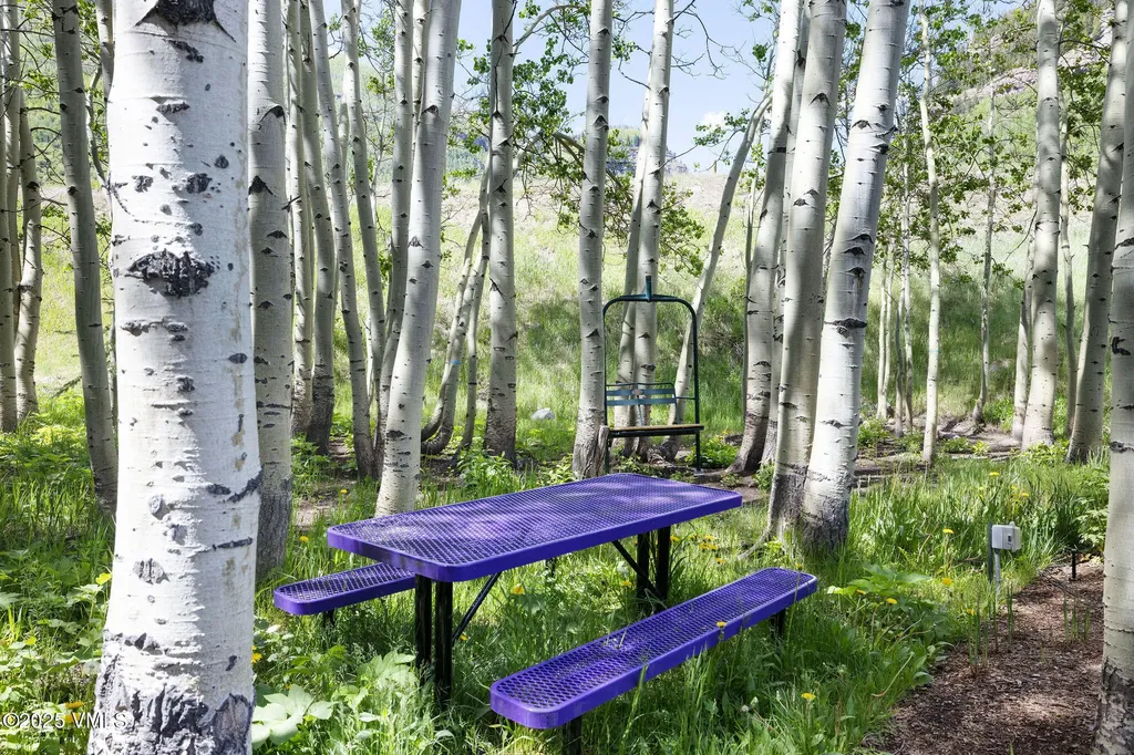 3013 Booth Creek Drive Vail CO 81657