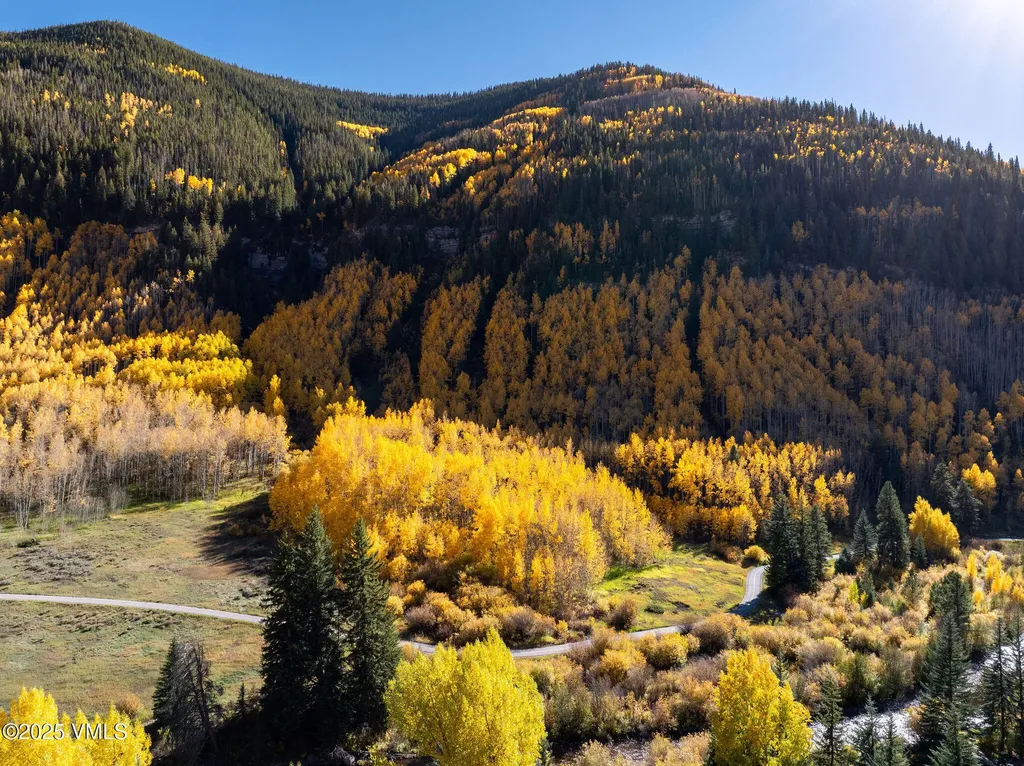 3013 Booth Creek Drive Vail CO 81657