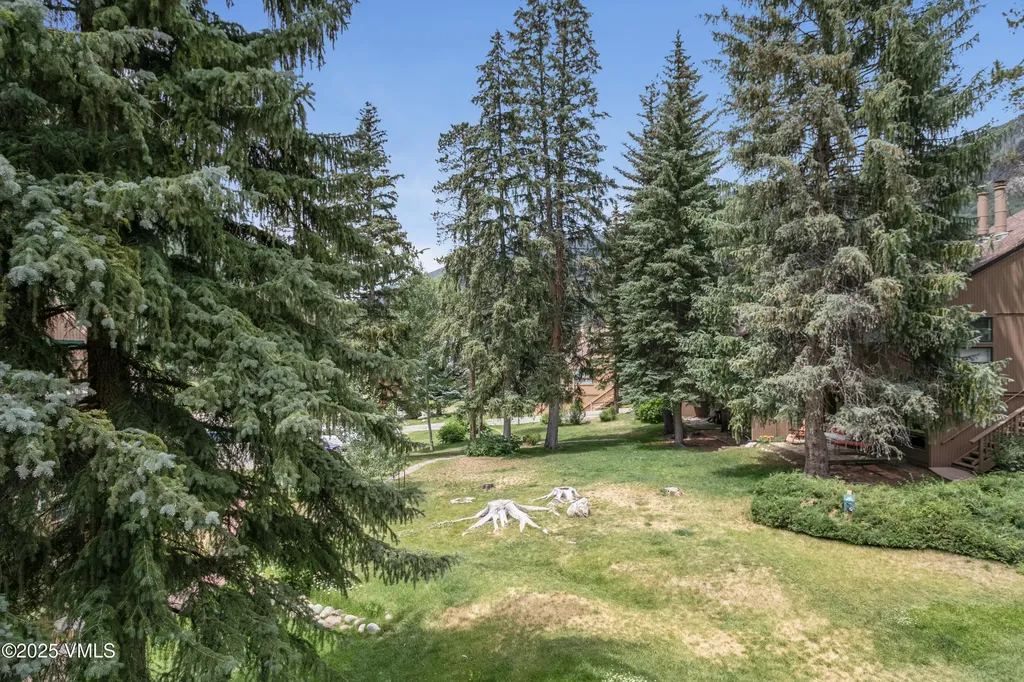 3941 Bighorn Road Vail CO 81657
