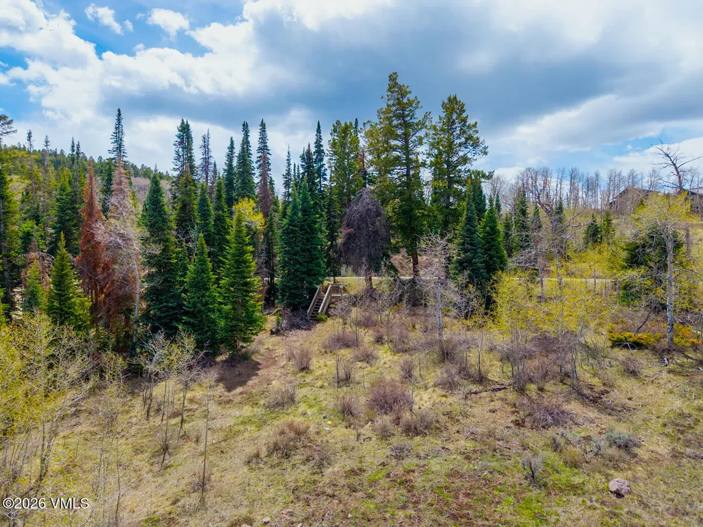 75 Pritchel Place Edwards CO 81632