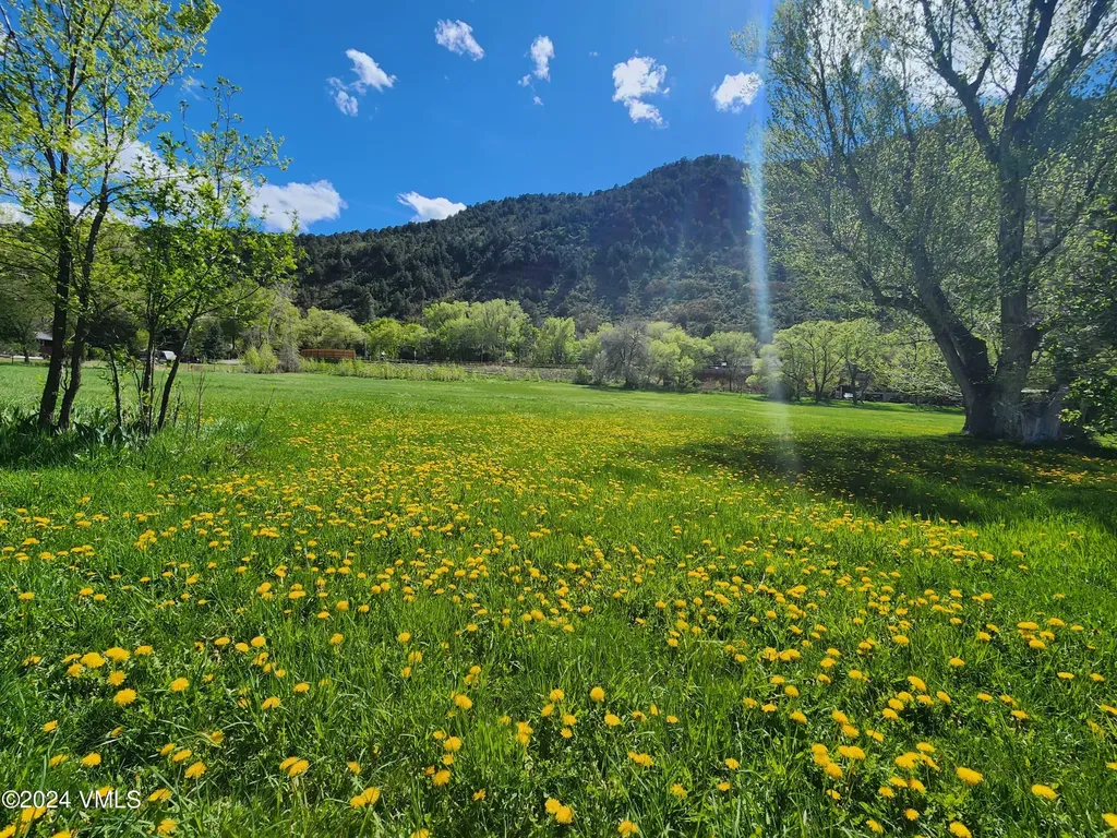 102 County Road 156 Glenwood Springs CO 81601