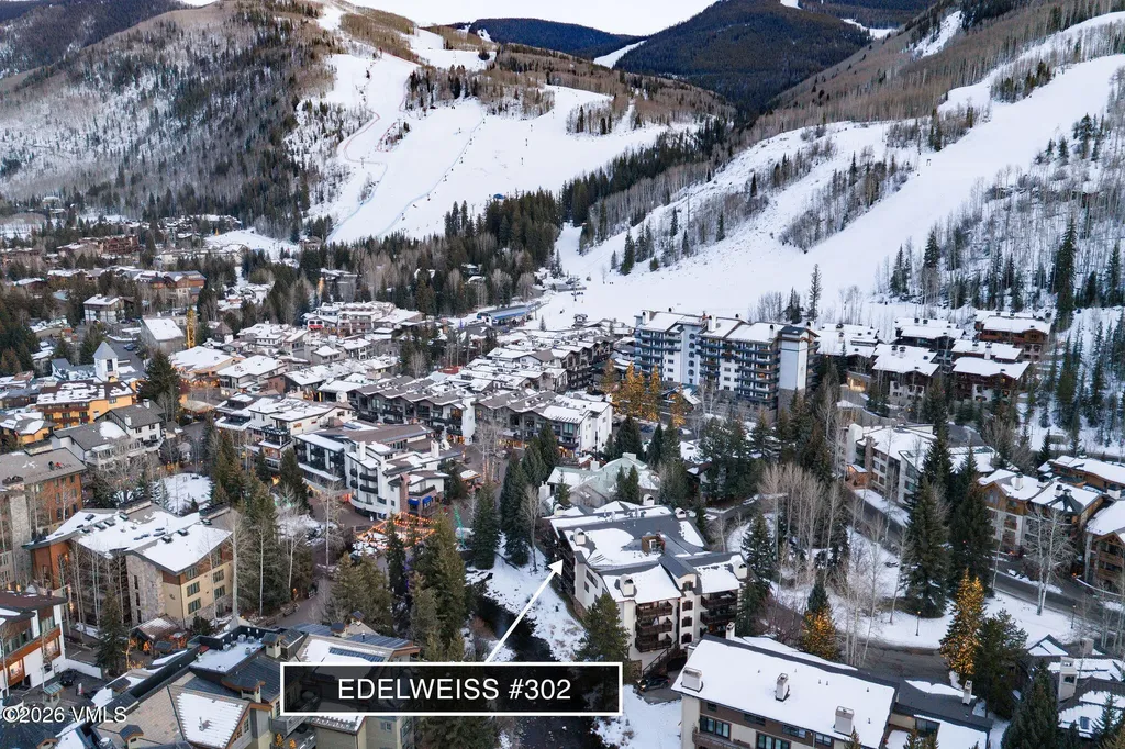 103 Willow Place Vail CO 81657