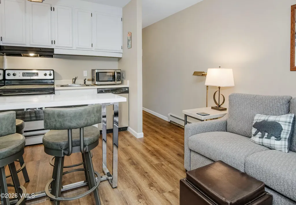 508 E Lionshead Vail CO 81657