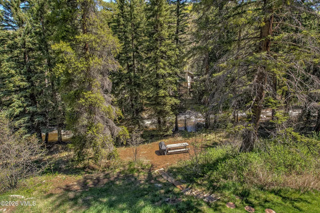 4594 Meadow Vail CO 81657