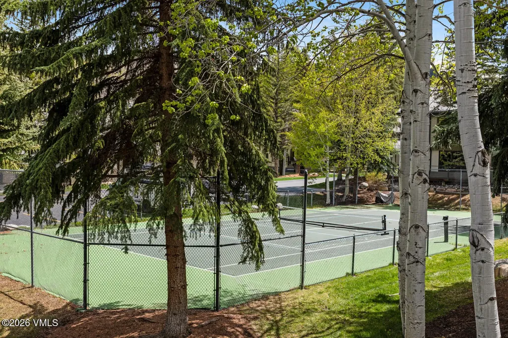 121 Willis Beaver Creek CO 81620