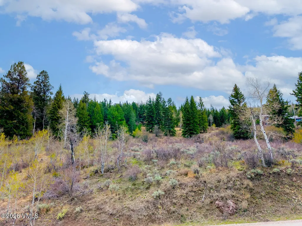 341 Graham Road Edwards CO 81632