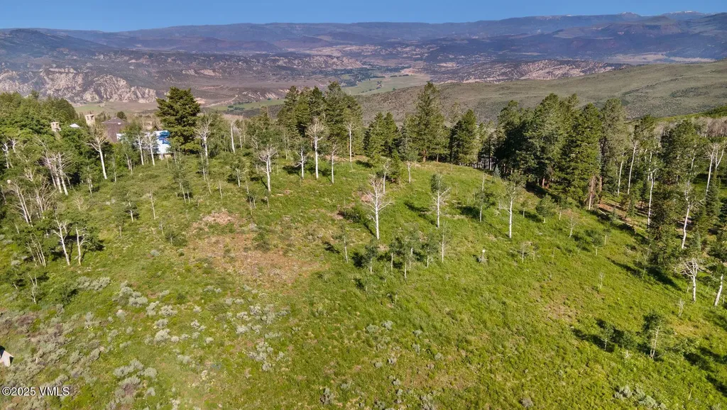 713 Webb Peak Edwards CO 81632
