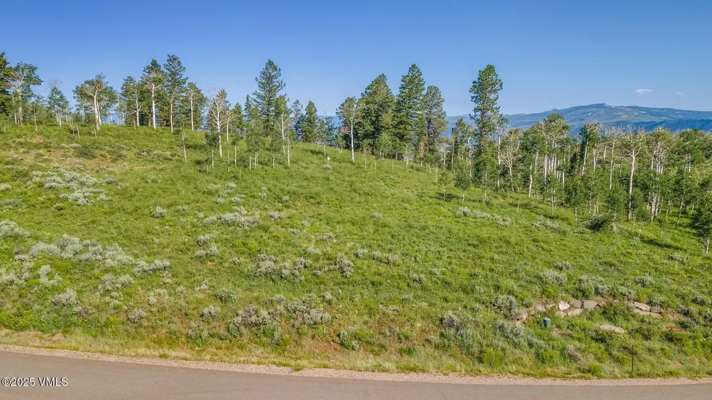 713 Webb Peak Edwards CO 81632