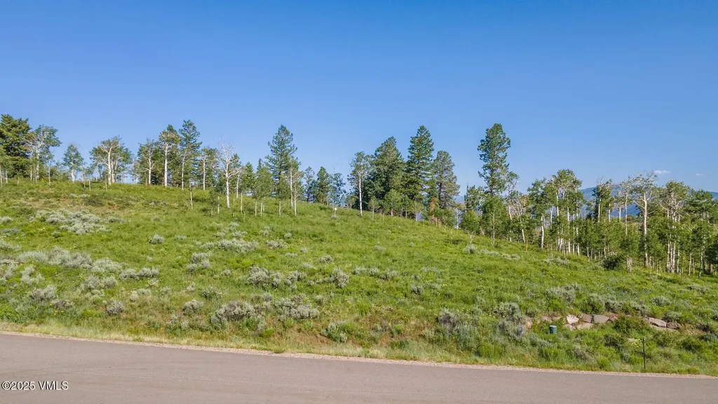 713 Webb Peak Edwards CO 81632