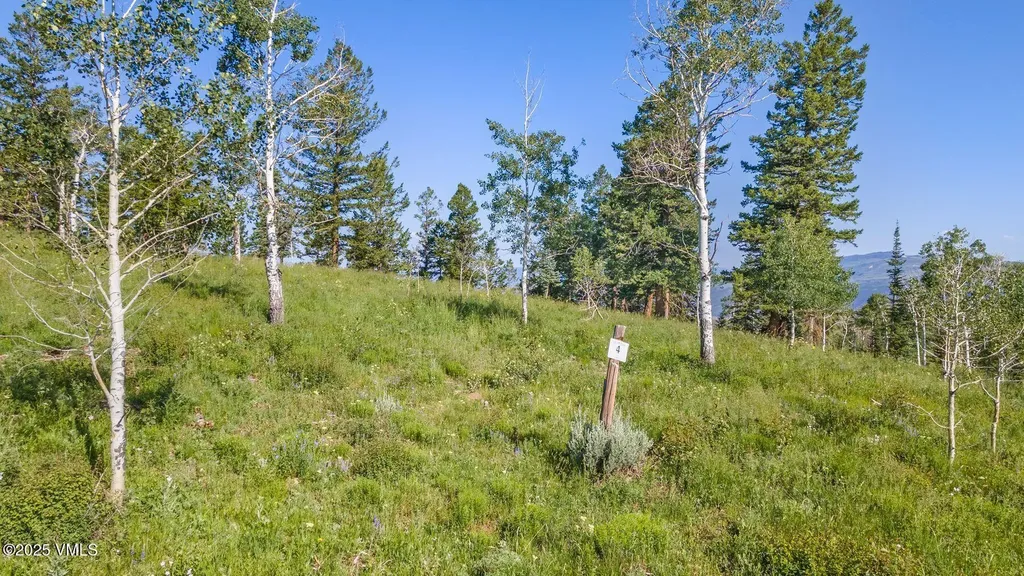 713 Webb Peak Edwards CO 81632