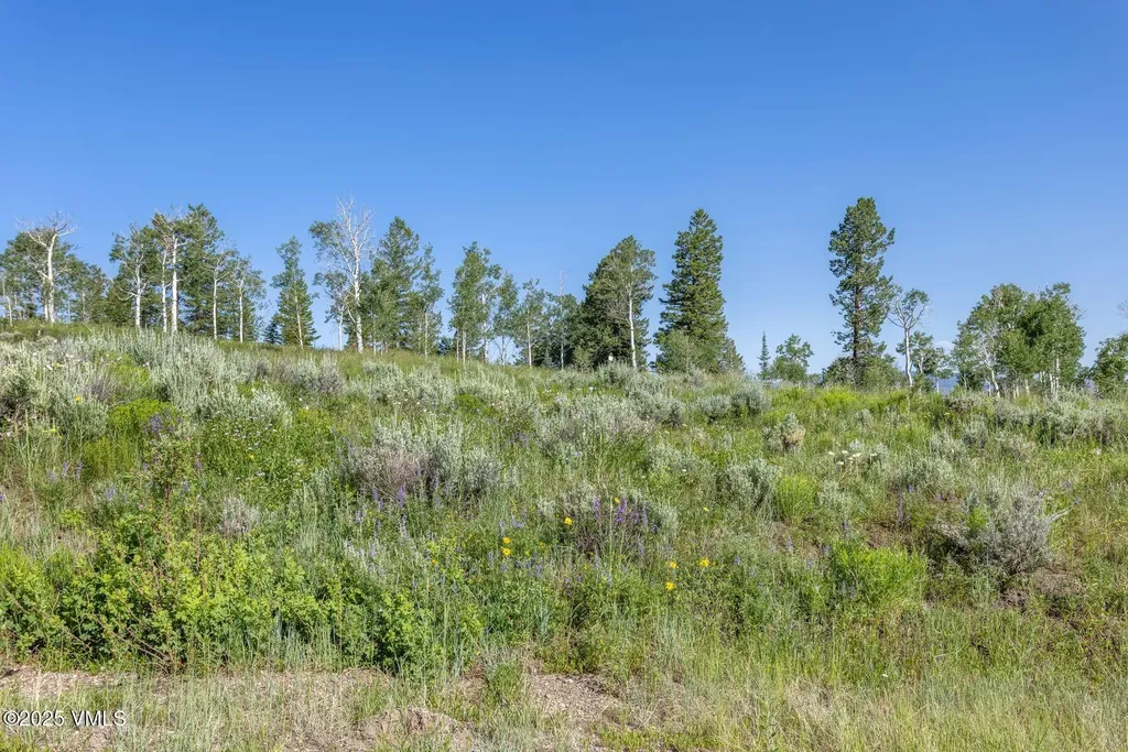 713 Webb Peak Edwards CO 81632