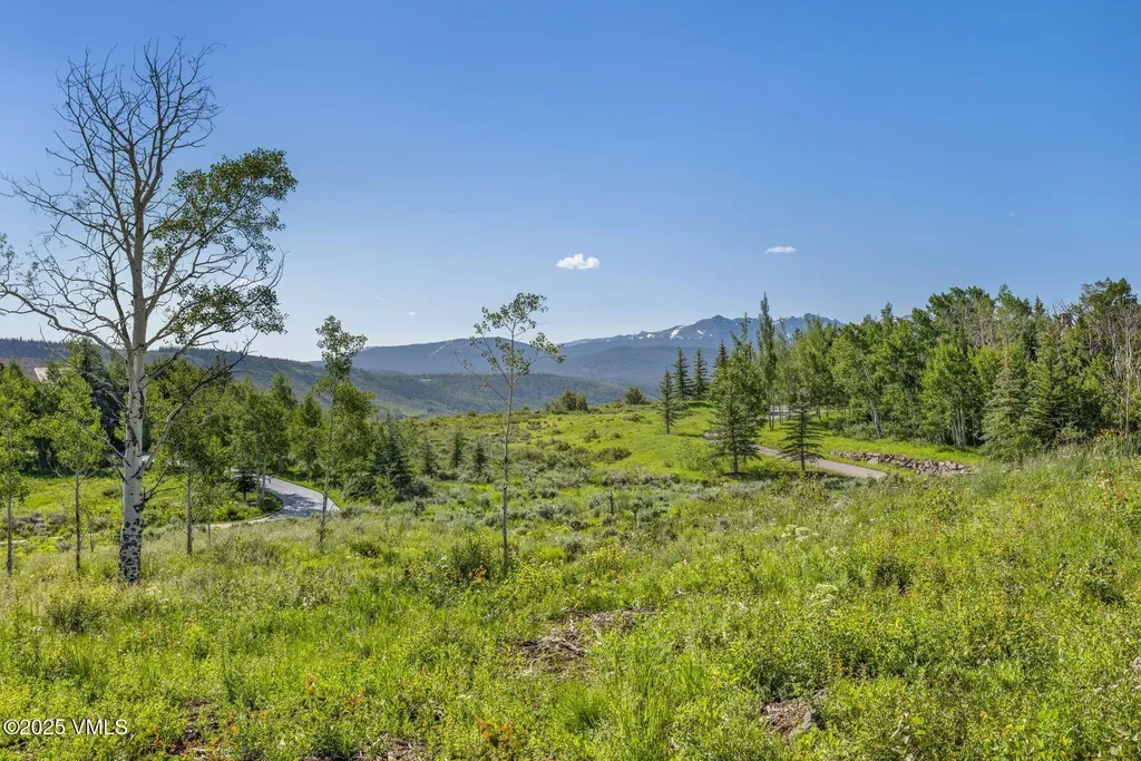 713 Webb Peak Edwards CO 81632