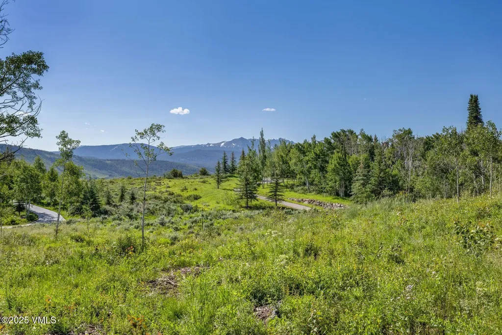 713 Webb Peak Edwards CO 81632