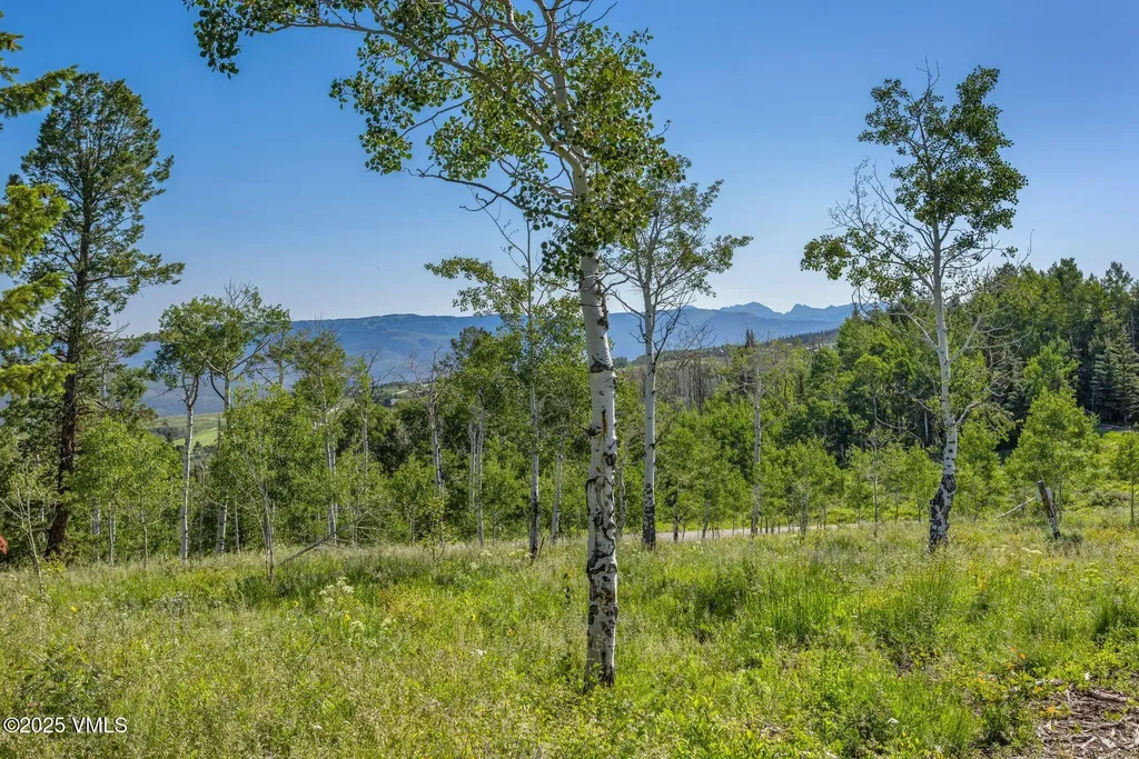 713 Webb Peak Edwards CO 81632