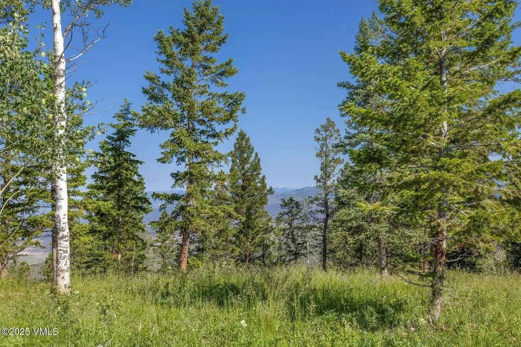 713 Webb Peak Edwards CO 81632