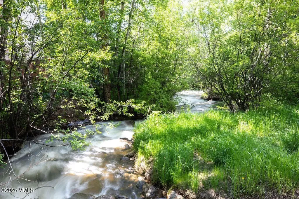 61 Avondale Lane Beaver Creek CO 81620