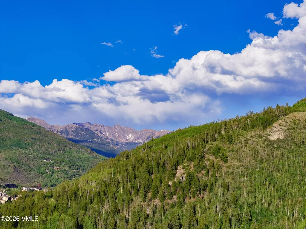 1890 Lions Ridge Loop Vail CO 81657