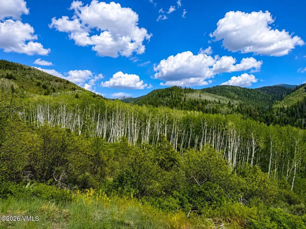 6010 Salt Creek Road Eagle CO 81631