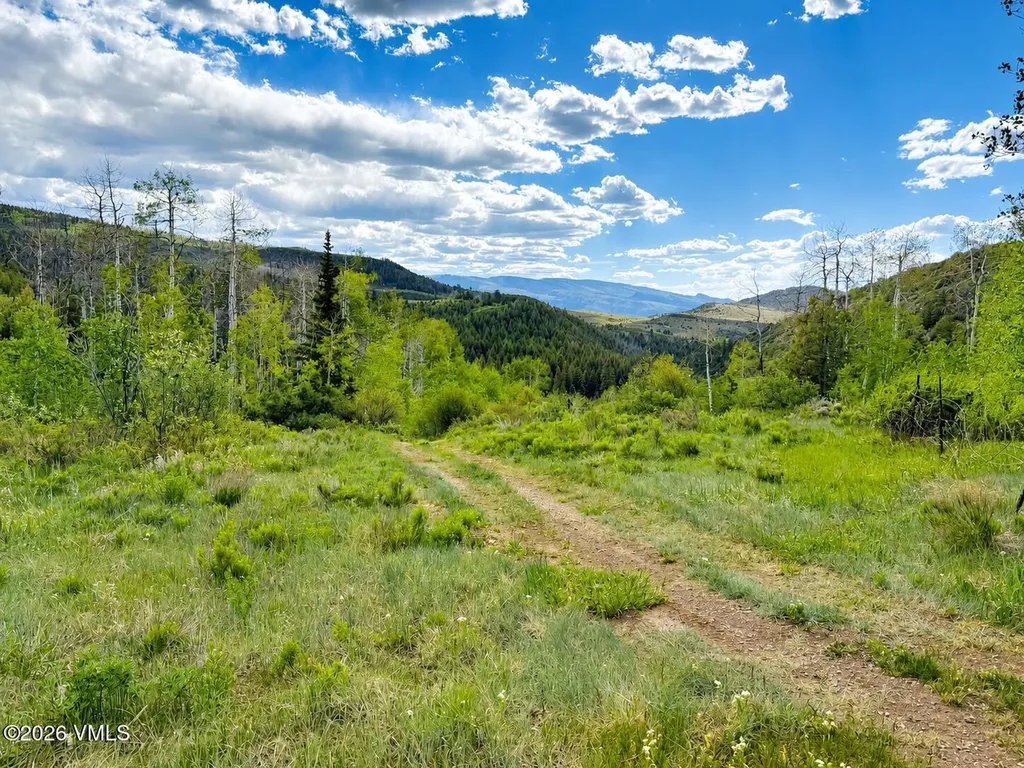 6010 Salt Creek Road Eagle CO 81631