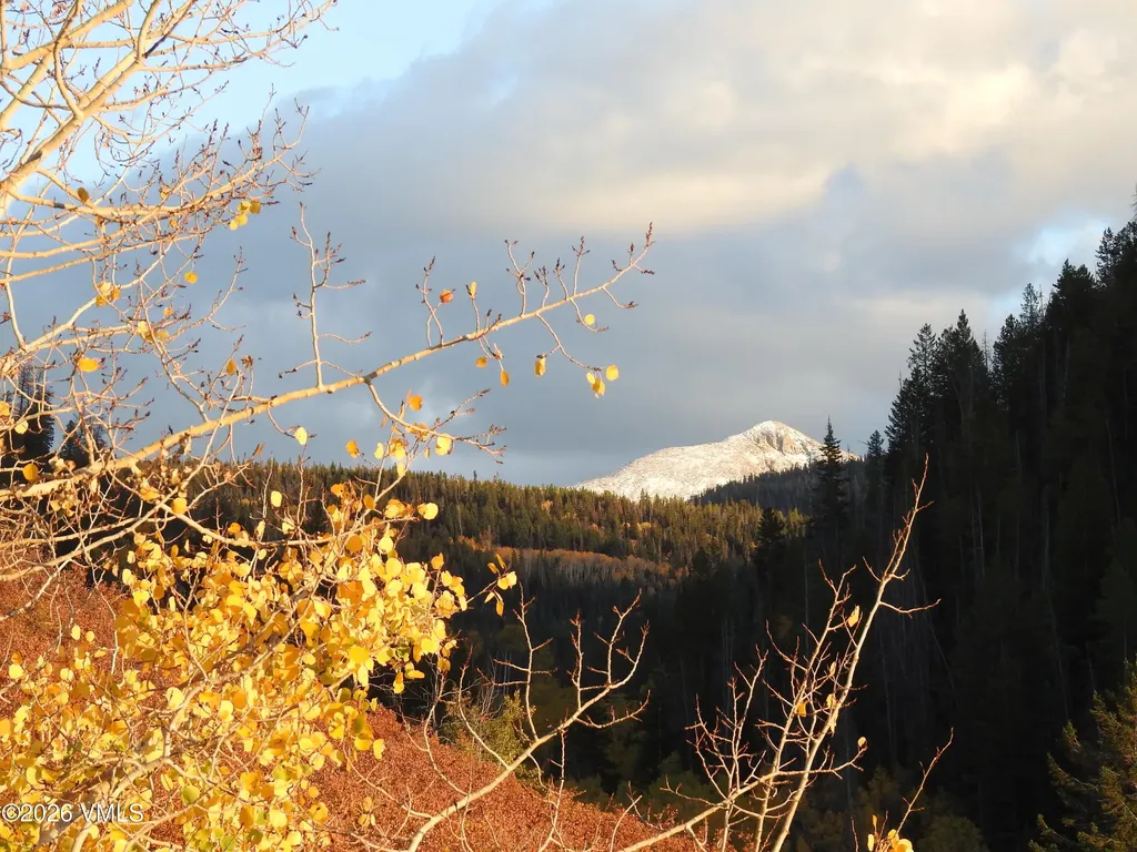 6010 Salt Creek Road Eagle CO 81631