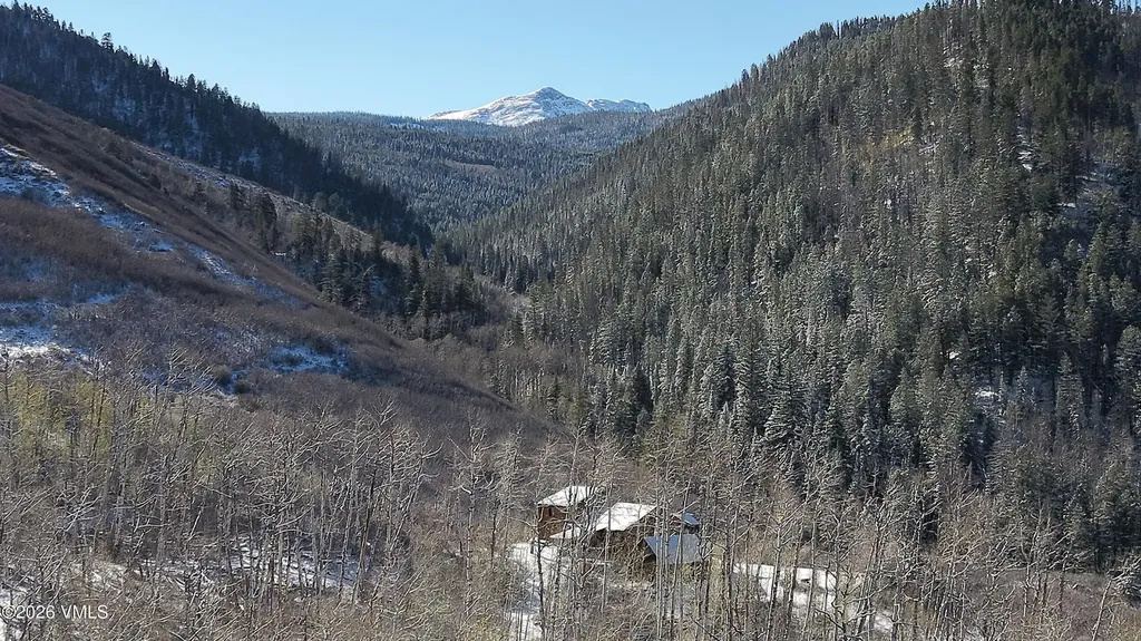 6010 Salt Creek Road Eagle CO 81631
