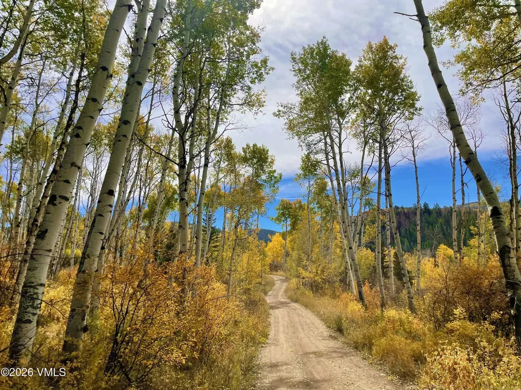 6010 Salt Creek Road Eagle CO 81631