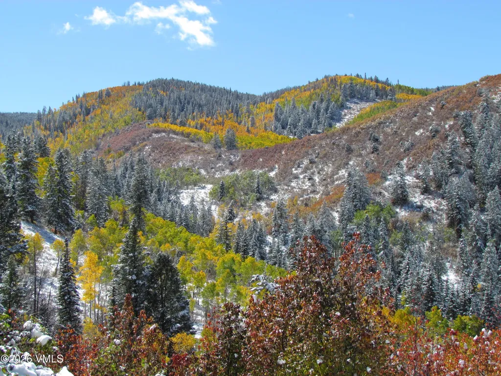 6010 Salt Creek Road Eagle CO 81631