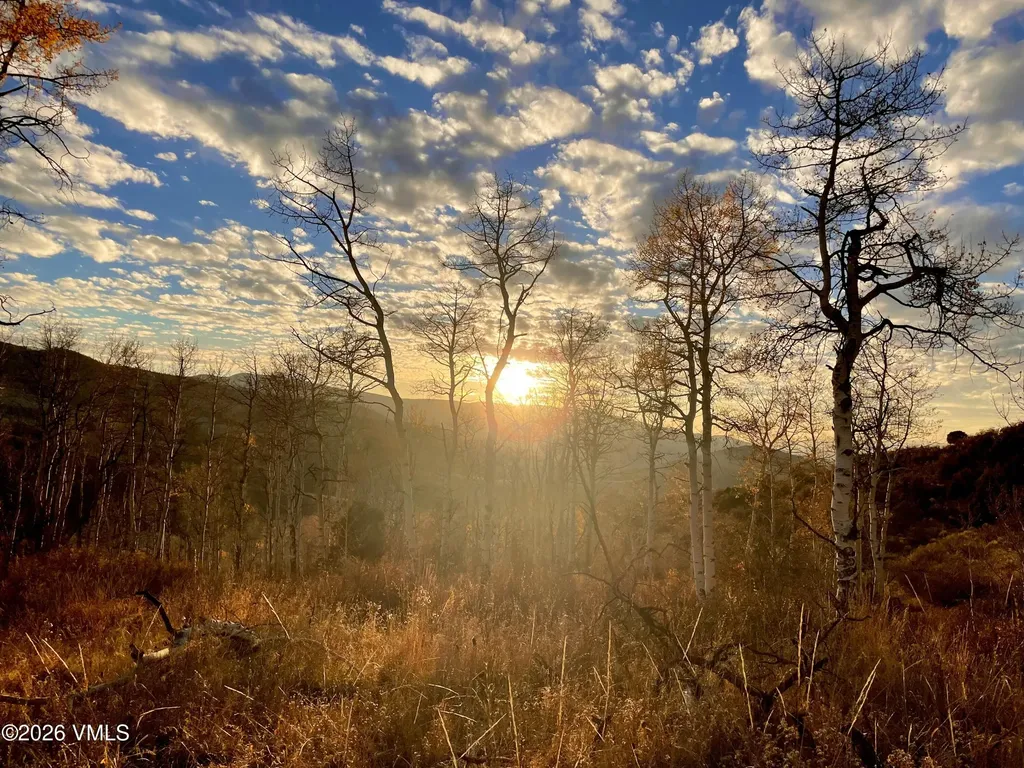 6010 Salt Creek Road Eagle CO 81631
