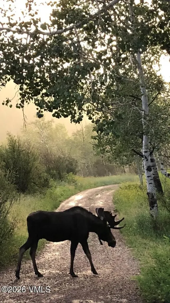 6010 Salt Creek Road Eagle CO 81631