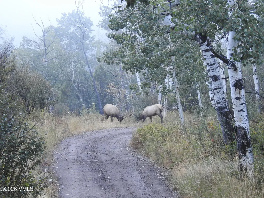 6010 Salt Creek Road Eagle CO 81631